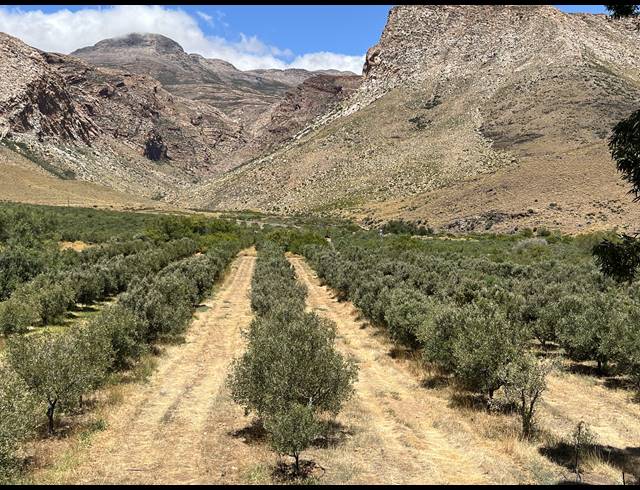 1,206HA FARM FOR SALE IN PRINCE ALBERT RURAL